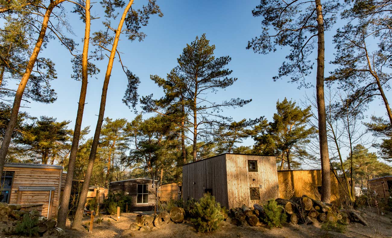 Flera små Attefallshus i vacker skogsmiljö